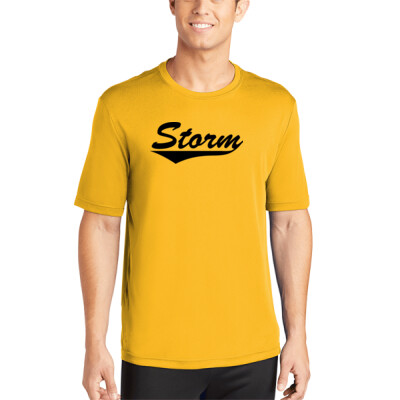 Adult Unisex Drifit Shirt - Storm Swoosh 2 Thumbnail