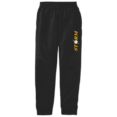 Youth Fleece Jogger - Storm Thumbnail
