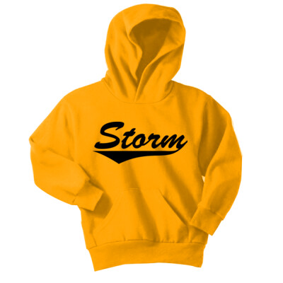 Youth Fleece Hoodie - Storm Swoosh 2 Thumbnail