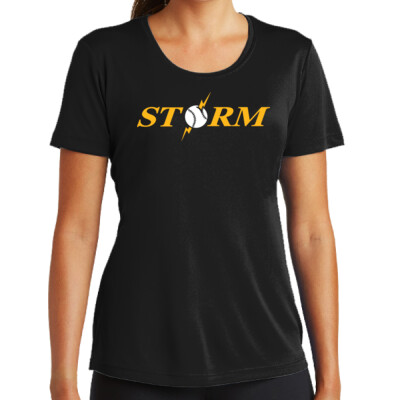 Ladies Drifit Shirt - Storm Thumbnail
