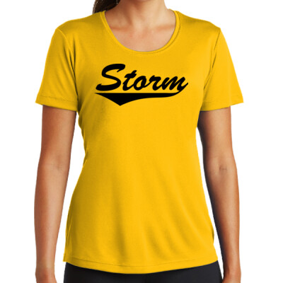 Ladies Drifit Shirt - Storm Swoosh 2 Thumbnail
