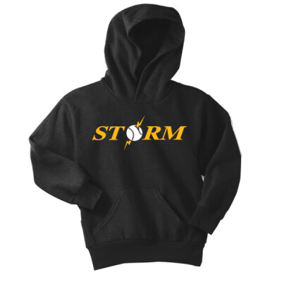 Youth Fleece Hoodie - Storm Thumbnail