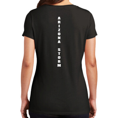 Ladies V-Neck Triblend Shirt - Arizona Fastpitch back Thumbnail
